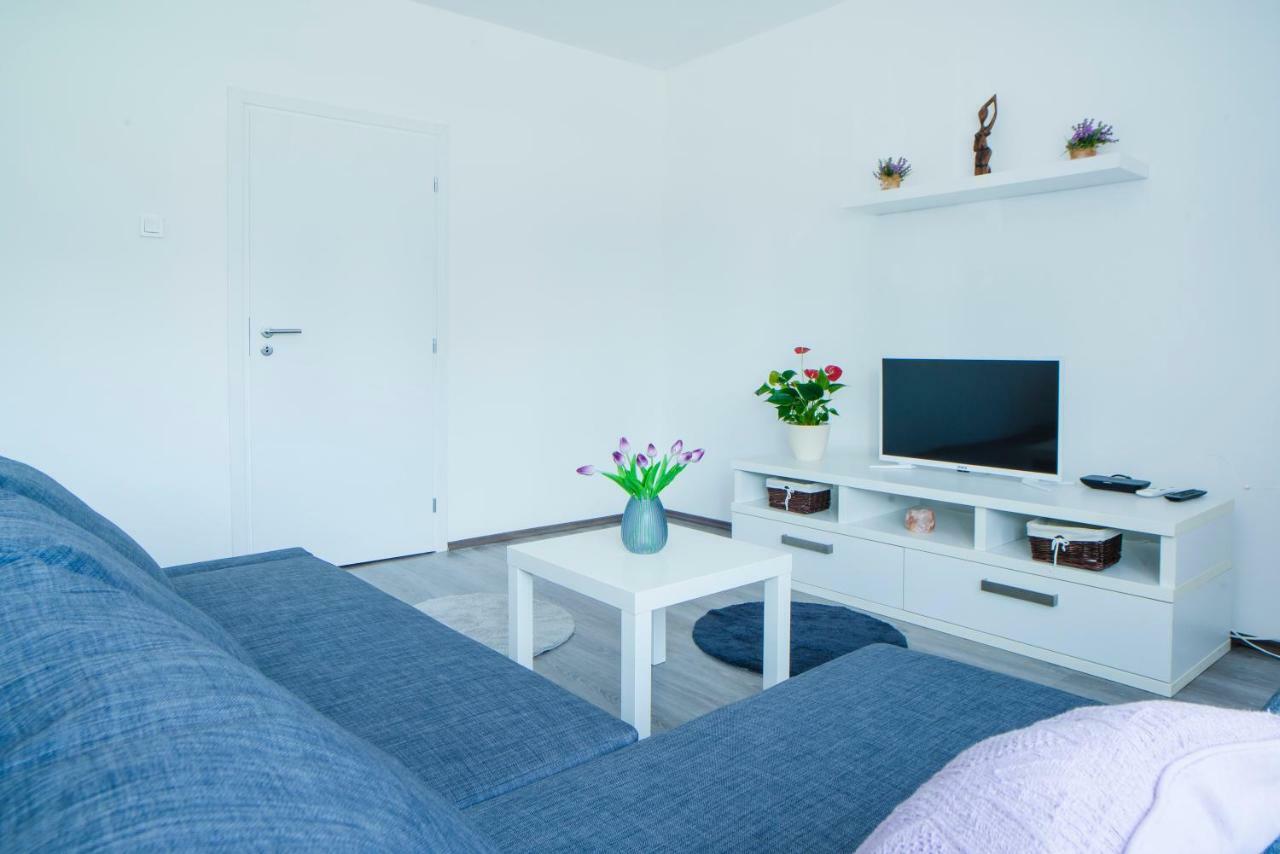 Apartman Visnja 슬루니 외부 사진
